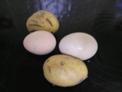 KartoffelundEi.jpg