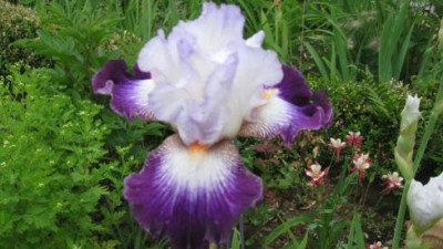 GARTEN_238.jpg