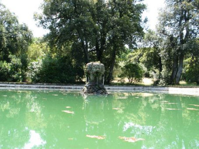 verwunschener-Teich.jpg