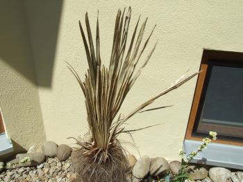 DSCF3976.jpg