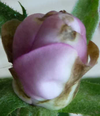 AzubisXBernstein2_03.JPG
