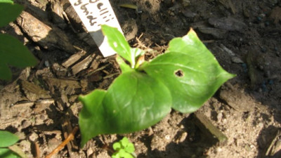 GARTEN_265.jpg