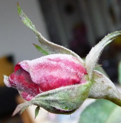 AzubisXTerra3_03.JPG