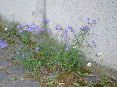 DSCN0204_15.JPG