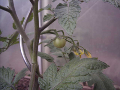 MLNA0094.JPG