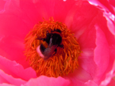 DSCN0184_15.JPG