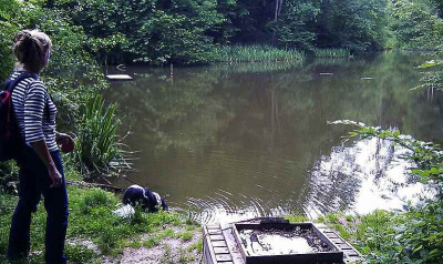 Hambach_1.jpg
