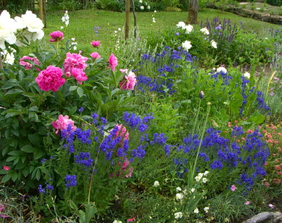 IMGP9863_2.jpg