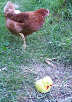 100_0091.JPG