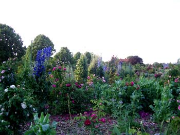 Juni_2011_PortlandBourbon_Kopie.jpg