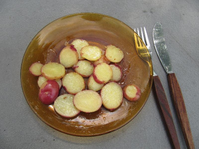 erste_Kartoffeln_110611.jpg