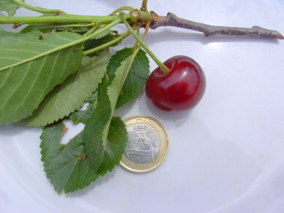 BILD4810-1.JPG