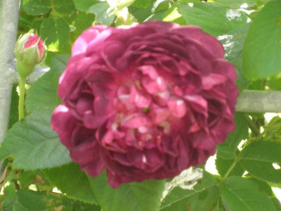 109_625x617_79KB.jpg