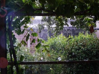 regenschauer.jpg