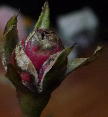 AzubisXTerra10_03.JPG
