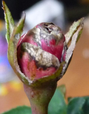 AzubisXTerra10_02.JPG