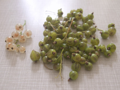 Grune_Johannisbeere_RalfausBS.jpg