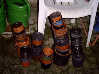 Web_SIMG0001.jpg