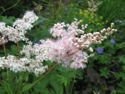 Wasistdas_110615.jpg
