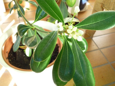 P1020771_600x600_100KB.jpg