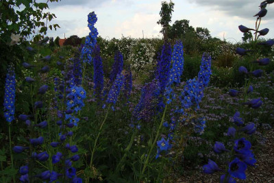 lage-bleu-rosenpark_201106_zg.jpg