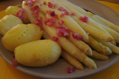 heidespargel_201106_zg.jpg