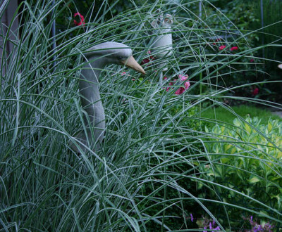 Gartenimpressionen1011.jpg