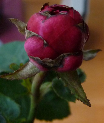 AzubisXTerra10_05.JPG