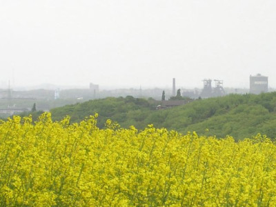 Ruhrpott_im_Mai.jpg