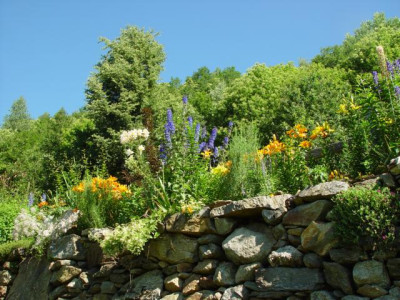 K640_DSC02476.JPG