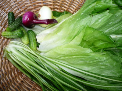 ernte_110625.jpg
