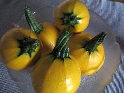 IMG_2615_Zucchiniernte.jpg