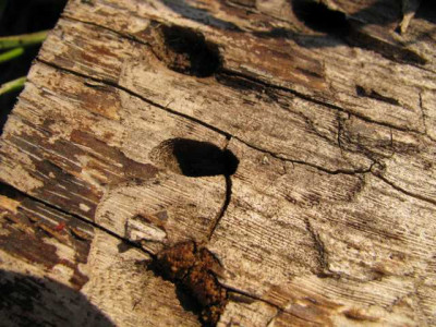 K640_IMG_2271.JPG