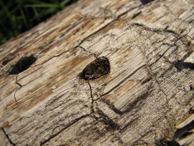 K640_IMG_2273.JPG