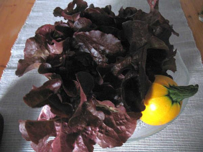 IMG_2644_Ernte_am_28.6.2011.jpg