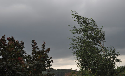 Boeen_0011__7771.jpg