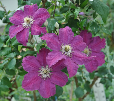 C_V_Kiew_0011__7384.jpg
