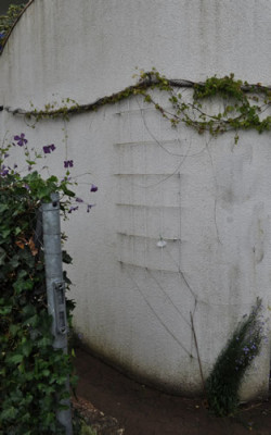 Weisse_Wand_0011__7800.jpg
