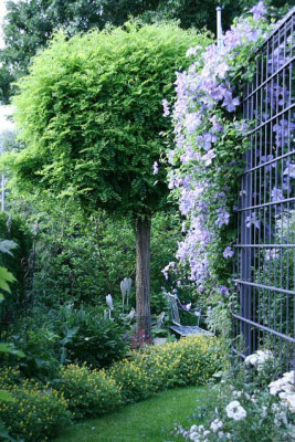Gartenimpressionen1911.jpg