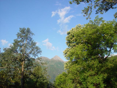 K640_DSC02520.JPG