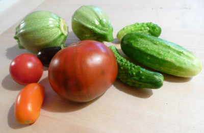 ernte_110630.jpg