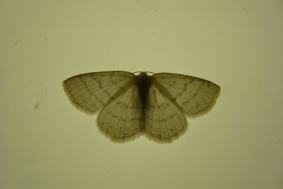ton-in-ton_201106_zg.jpg