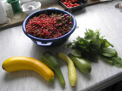 1ernte030711.jpg