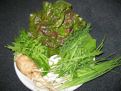 IMG_3074_Ernte_am_3.7.2011.jpg