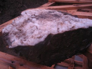 fund2011.jpg
