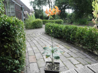 testbild.jpg