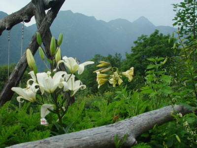K640_DSC02577.JPG