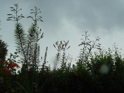 K640_DSC02580.JPG