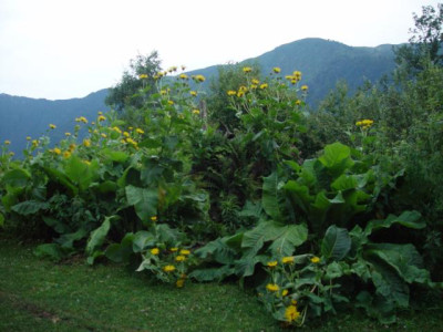 K640_DSC02589.JPG