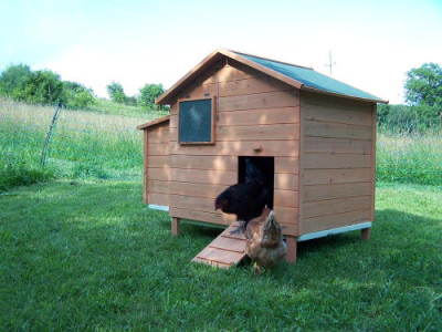 Sommerbungalow.jpg
